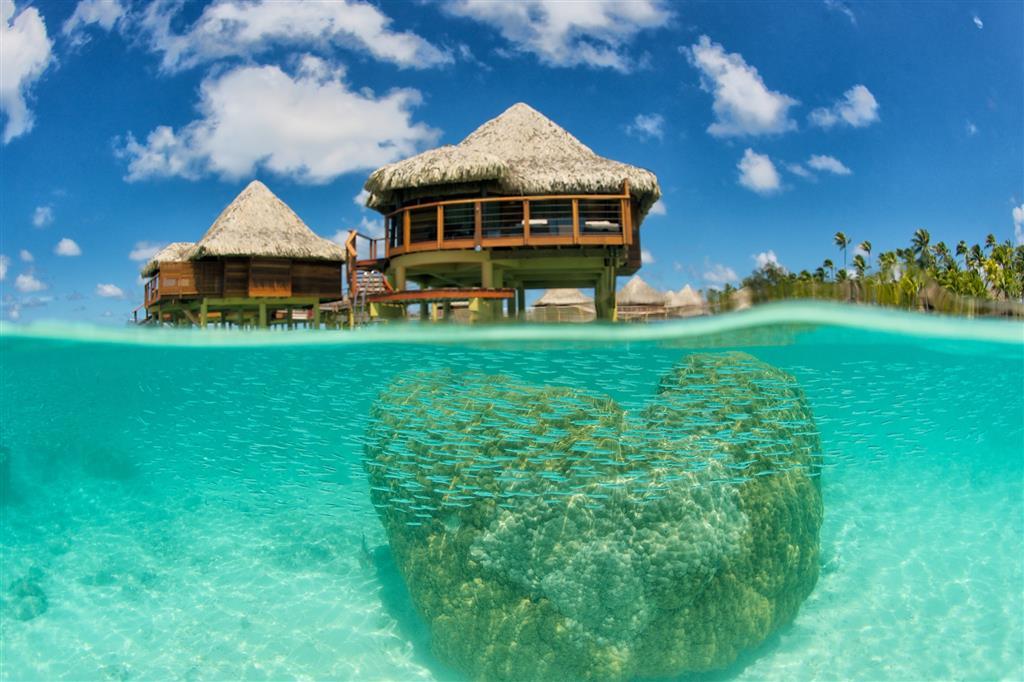 Hotel Kia Ora Resort & Spa Аватору Інтер'єр фото