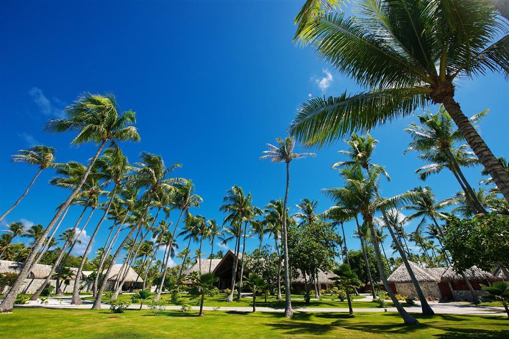 Hotel Kia Ora Resort & Spa Аватору Інтер'єр фото